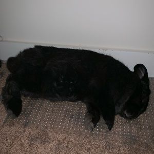 Meet your Posher, Tracy